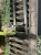 IMG_8617.jpeg