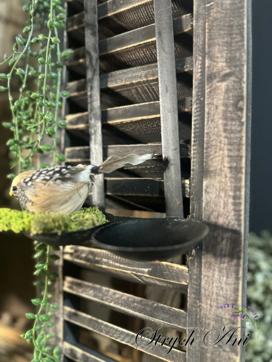 IMG_8617.jpeg
