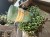 IMG_8620.jpeg