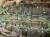 IMG_8622.jpeg