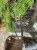 IMG_8633.jpeg