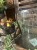 IMG_8627.jpeg