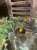 IMG_8623.jpeg