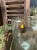 IMG_8625.jpeg