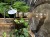 IMG_8669.jpeg