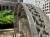 IMG_8670.jpeg