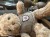 IMG_8680.jpeg