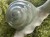 IMG_8683.jpeg