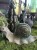 IMG_8685.jpeg