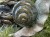IMG_8686.jpeg