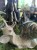 IMG_8687.jpeg
