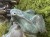 IMG_8692.jpeg