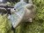IMG_8695.jpeg