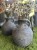 IMG_8699.jpeg