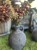 IMG_8700.jpeg