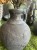 IMG_8701.jpeg
