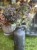 IMG_8710.jpeg