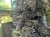 IMG_8711.jpeg