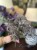 IMG_8713.jpeg
