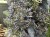 IMG_8715.jpeg