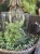 IMG_8728.jpeg