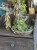 IMG_8729.jpeg
