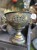 IMG_8786.jpeg