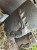 IMG_8790.jpeg