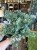 IMG_8799.jpeg