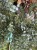 IMG_8798.jpeg