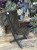 IMG_8843.jpeg