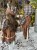 IMG_8862.jpeg