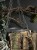 IMG_8894.jpeg