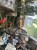 IMG_8895.jpeg