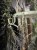 IMG_8897.jpeg