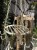 IMG_8898.jpeg