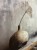 IMG_8913.jpeg
