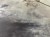 IMG_8914.jpeg