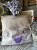 IMG_8927.jpeg