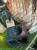 IMG_8936.jpeg