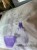 IMG_8929.jpeg