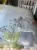 IMG_8924.jpeg