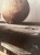 IMG_8917.jpeg