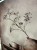 IMG_8918.jpeg