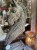 IMG_8966.jpeg