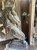 IMG_8969.jpeg