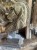 IMG_8972.jpeg