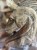 IMG_8973.jpeg