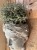 IMG_9042.jpeg