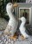 IMG_9061.jpeg